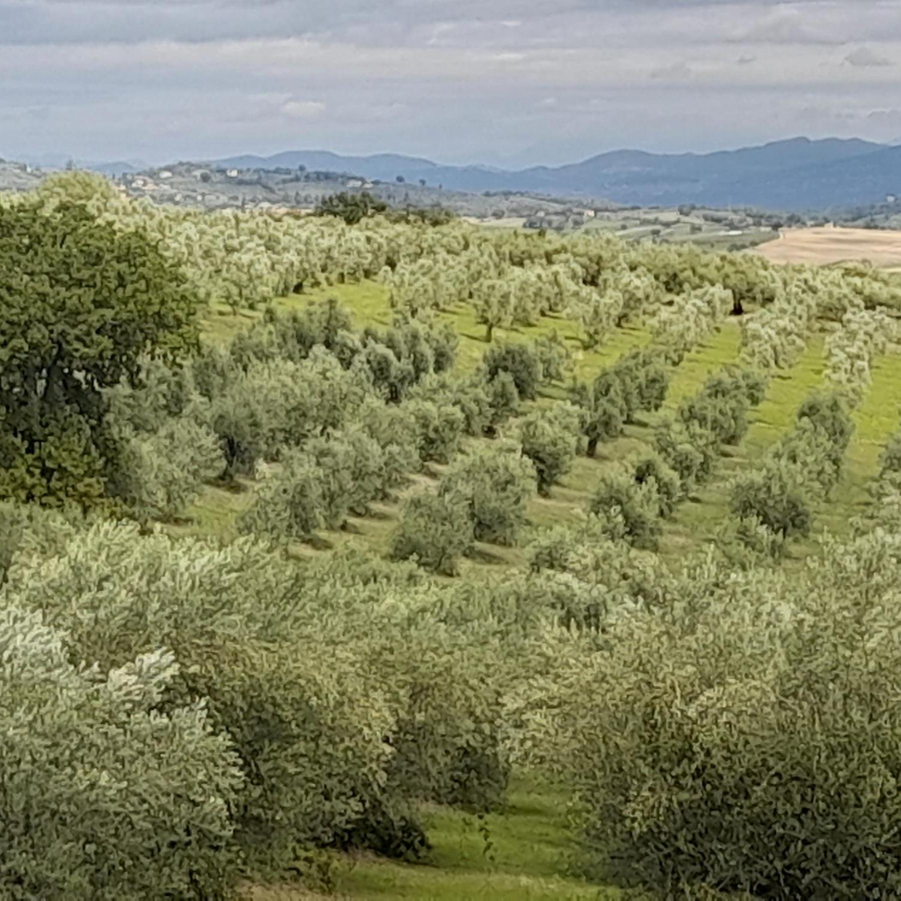 Tenuta San Felice Giano dell'Umbria Exterior photo